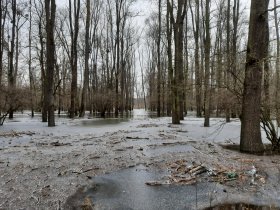 Do obory Soutok nesmí kvůli povodni do konce ledna veřejnost