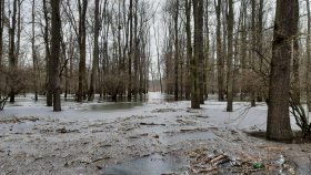 Do obory Soutok nesmí kvůli povodni do konce ledna veřejnost