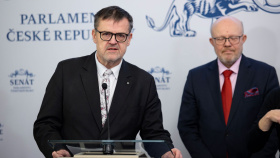 Zásadní je podle ministra posílení kapacit všeobecných sester