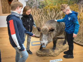 Pardubický zámek zažil rekordní návštěvnost