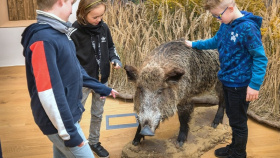 Pardubický zámek zažil rekordní návštěvnost