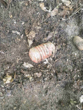 Kliknutím zvětšíte obrázek