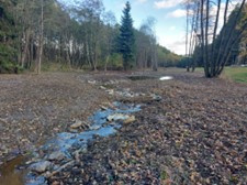 Kliknutím zvětšíte obrázek