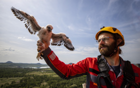 ORLEN Unipetrol připravil pro sokoly pět hnízdních budek