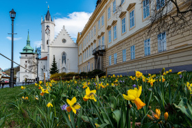 Kliknutím zvětšíte obrázek