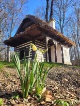 Průhonický park otevírá nové expozice