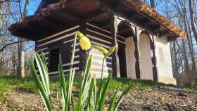 Průhonický park otevírá nové expozice