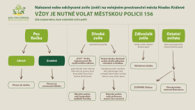 Azyl pro opuštěná zvířata mění podobu