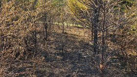 Kvůli riziku požárů zakázaly Lesy ČR až do konce října pálení klestu