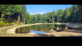 Perlík je na nejvyšším vrcholu  Jizerských hor