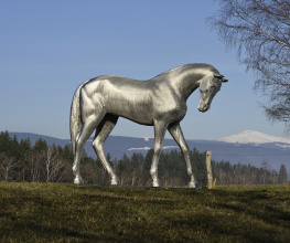 Cestu na zámek bude nově zdobit socha koně