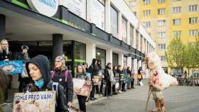 Protest Obránců zvířat: Zmrzačené kuře v nadživotní velikosti