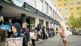 Protest Obránců zvířat: Zmrzačené kuře v nadživotní velikosti Protest Obránců zvířat: Zmrzačené kuře v nadživotní velikosti