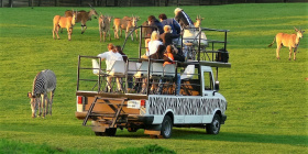 Dnes se otvírá Safari ve Dvoře Králové