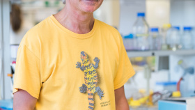 Julius Lukeš byl zvolen do Národní akademie věd USA