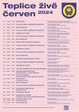 Kliknutím zvětšíte obrázek