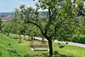 Kliknutím zvětšíte obrázek