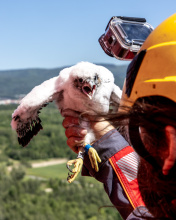 Kliknutím zvětšíte obrázek