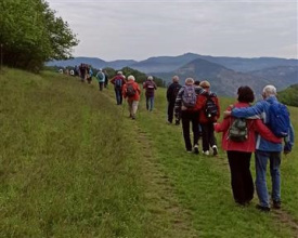 Město podpoří aktivní dříve narozené spoluobčany