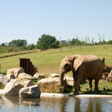 Pětadvacet milionů na rozšíření zoo