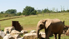 Pětadvacet milionů na rozšíření zoo Pětadvacet milionů na rozšíření zoo