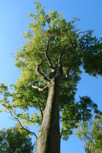 Kliknutím zvětšíte obrázek