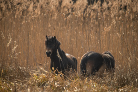Staňte se partnery projektu Zdravá krajina