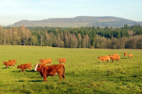 Kliknutím zvětšíte obrázek