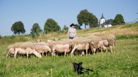 Počet návštěvníků v karavanech se za dva roky zdvojnásobil