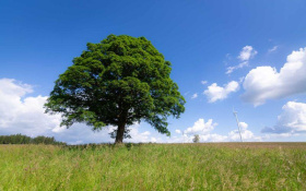 Kliknutím zvětšíte obrázek