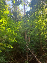 Turistické stezky nad Rešovskými vodopády budou uzavřeny