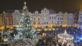 Pardubice hledají vánoční strom Pardubice hledají vánoční strom