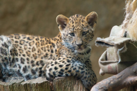 Turistické trháky v Libereckém kraji