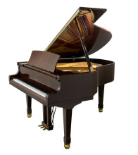 Pomozme nadaným dětem získat nový koncertní klavír