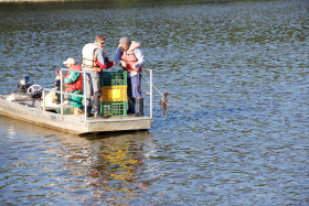 Vědci zahájí rozsáhlý průzkum ryb lipenské nádrže