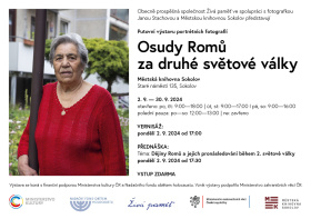 Osudy Romů za II. světové války Kliknutím zvětšíte obrázek