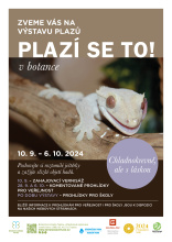 Kliknutím zvětšíte obrázek