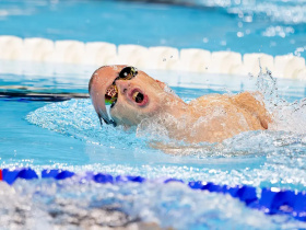 Kliknutím zvětšíte obrázek