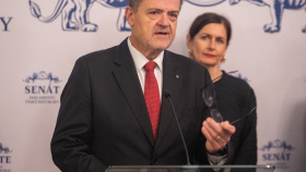 Senát spolupracuje na zajištění zdravotní podpory pro děti s chronickými onemocněními Senát spolupracuje na zajištění zdravotní podpory pro děti s chronickými onemocněními