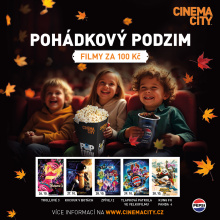 Kliknutím zvětšíte obrázek