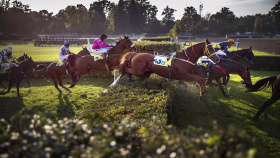 Zítra se jede Velká pardubická Zítra se jede Velká pardubická