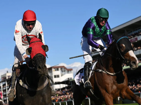 Drama na Velké pardubické, o vítězství se dělí Sexy Lord a Godfrey Drama na Velké pardubické, o vítězství se dělí Sexy Lord a Godfrey