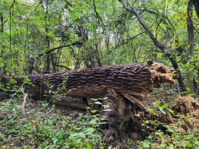 Kliknutím zvětšíte obrázek