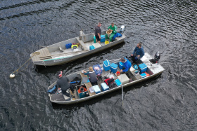 Nový obří virus dostal jméno Budvirus