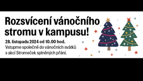 Vánoční přání dětí z azylového domu splní univerzitní stromeček Vánoční přání dětí z azylového domu splní univerzitní stromeček