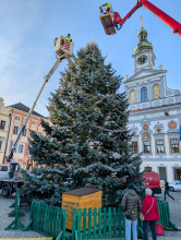 Vánoční jedle se rozsvítí v sobotu