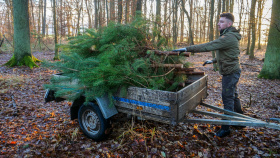 Lesy ČR darují dětem více než tři stovky stromků