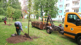 Začíná grantové řízení Nadace ČEZ Stromy pro jarní výsadbu Začíná grantové řízení Nadace ČEZ Stromy pro jarní výsadbu