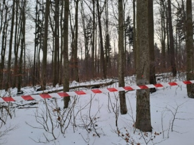 Kliknutím zvětšíte obrázek