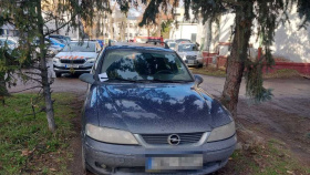 Strážníci se zaměří na ochranu zeleně před nešetrným parkováním Strážníci se zaměří na ochranu zeleně před nešetrným parkováním